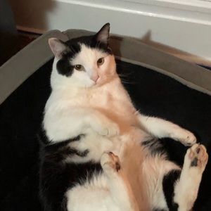 Meet your Posher, Pilar